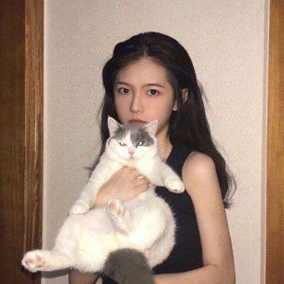 天境奇缘游戏下载